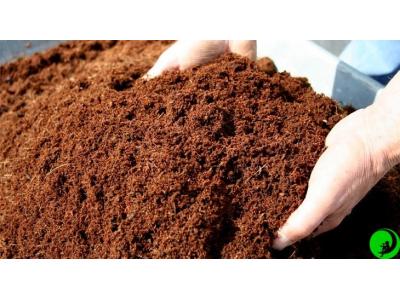 Обзор почвосмесей для выращивания каннабиса в индоре