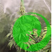Насіння конопель Auto THC Victory Feminised