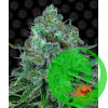Critical Kush Barney`s Farm уп. 3шт.