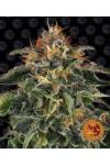 Moby Dick Barney`s Farm уп. 3шт.