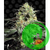 Peyote Cookies Barney`s Farm уп. 3шт.