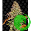 Zkittles OG Auto Barney`s Farm уп. 3шт.
