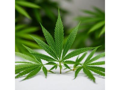 Як швидко відійти від трави