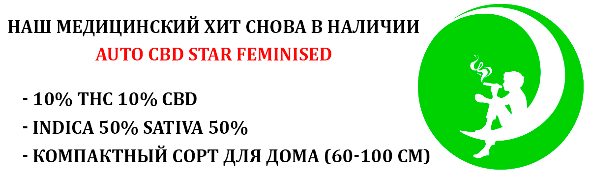 Auto CBD Star Feminised