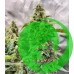 Семена конопли Afghan Kush Feminised