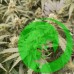 Семена конопли Og Skywalker