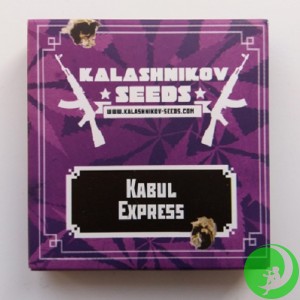 Насіння конопель Kabul Express Feminised  (Kalashnikov Seeds)