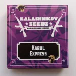 Kabul Express Feminised  (Kalashnikov Seeds)