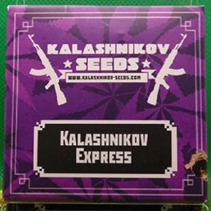 Kalashnikov Express Feminised (Kalashnikov Seeds)