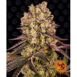 Runtz Muffin Barney`s Farm уп. 3 шт.
