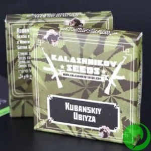 Насіння конопель Кубанський вбивця Feminised (Kalashnikov Seeds)