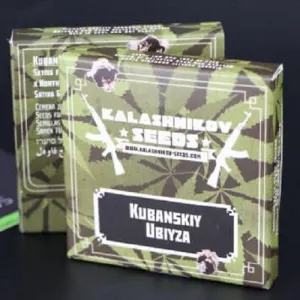 Кубанський вбивця Feminised (Kalashnikov Seeds)